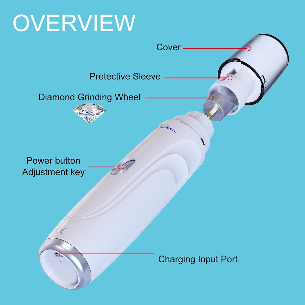 {{product_title}} - Zippy Pawz Premium Pet Gear